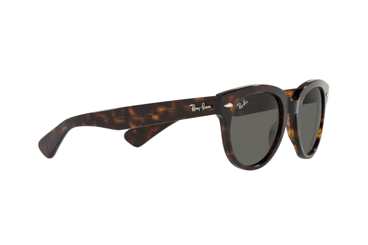 Lentes de Sol Orion Tortoise  Ray Ban