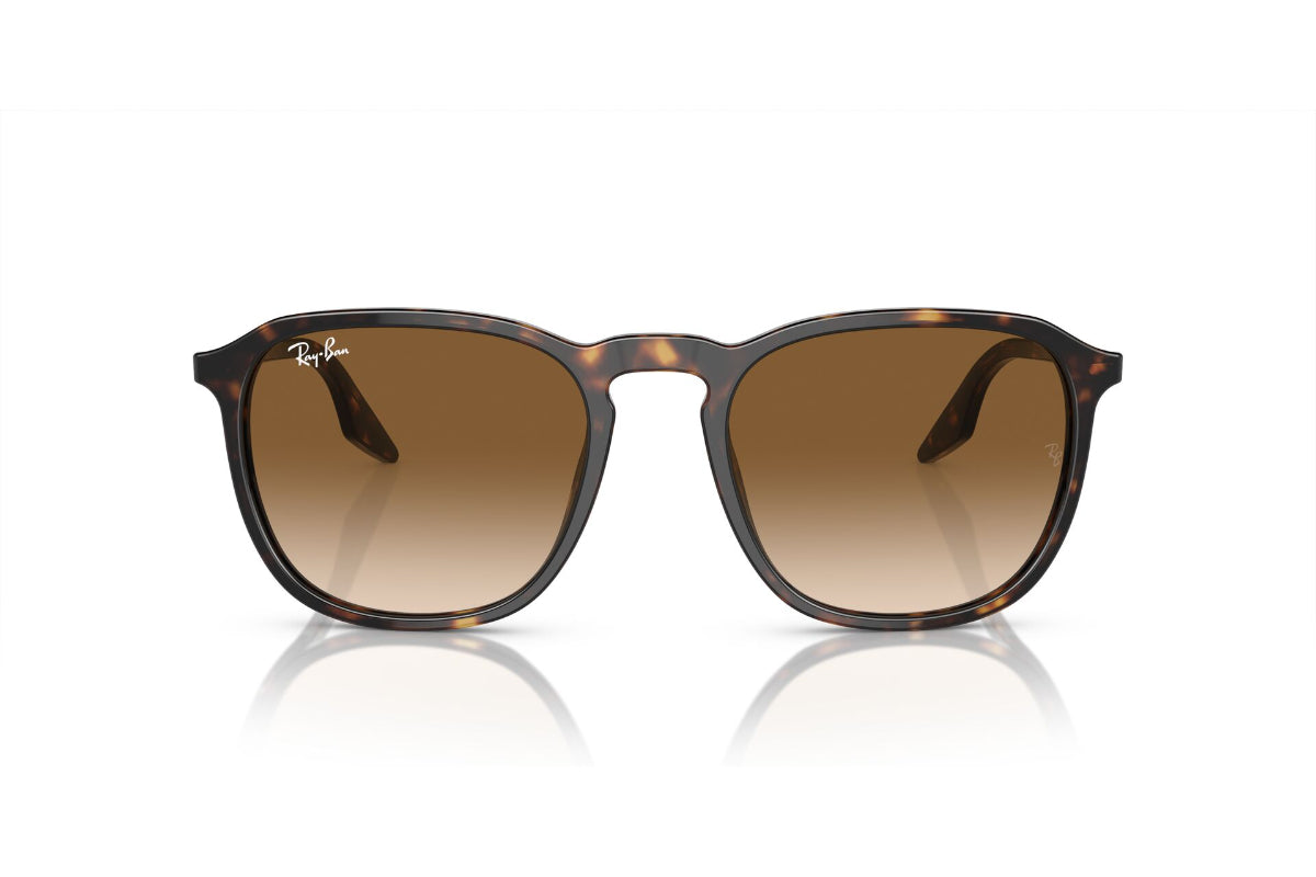 Ray-Ban Lentes de Sol RB2203