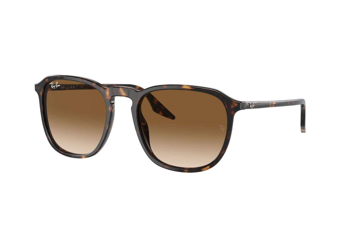 Ray-Ban Lentes de Sol RB2203