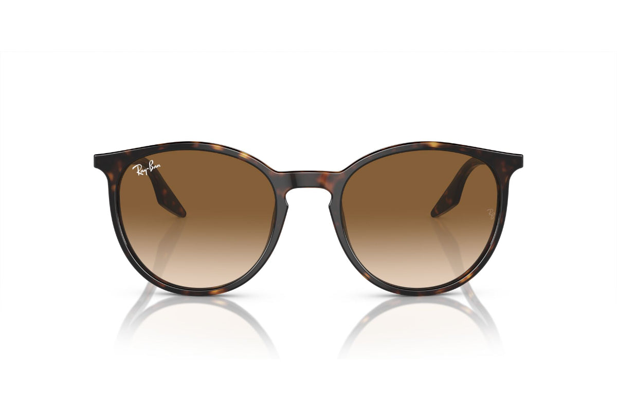 Ray-Ban Lentes de Sol RB2204