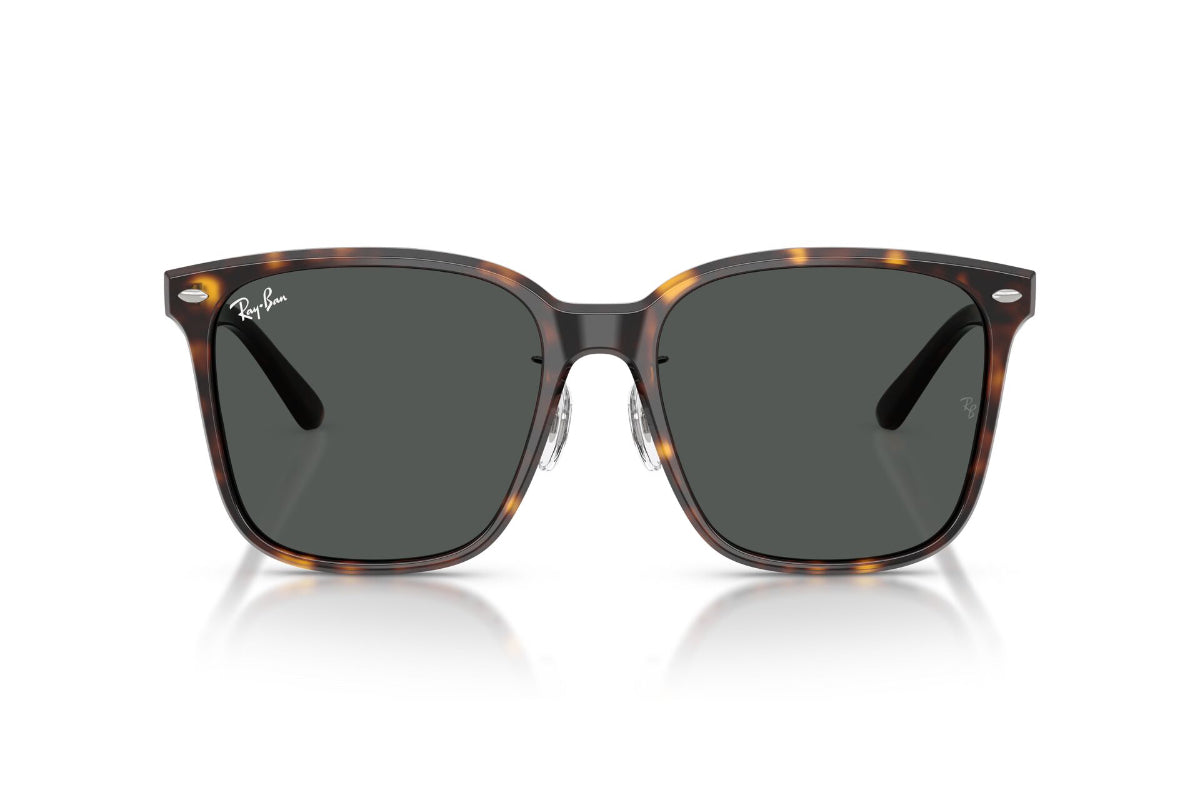 Ray-Ban Lentes de Sol RB2206D