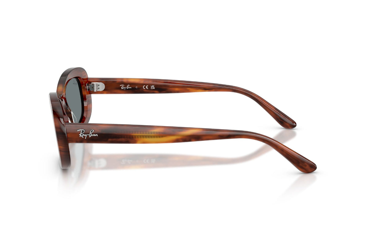 Ray-Ban Lentes de Sol The Bold RB2221
