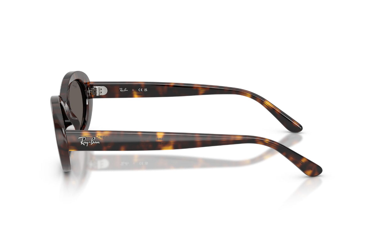 Ray-Ban Lentes de Sol The Bold RB2223