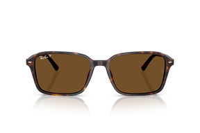 Ray-Ban Lentes de Sol Raimond Polarizados RB2231