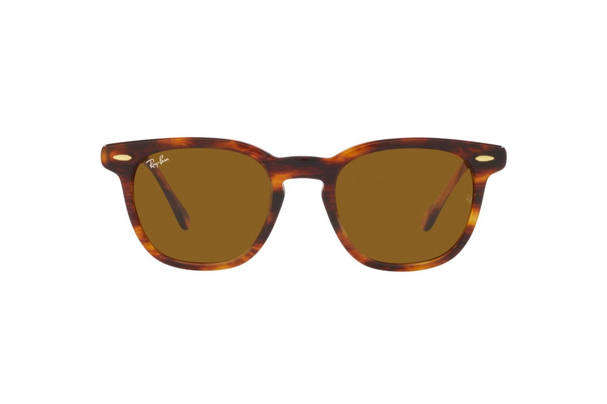 Ray-Ban Lentes de Sol Hawkeye RB2298