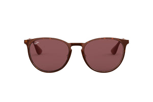 Ray-Ban Lentes de Sol Erika Metal RB3539