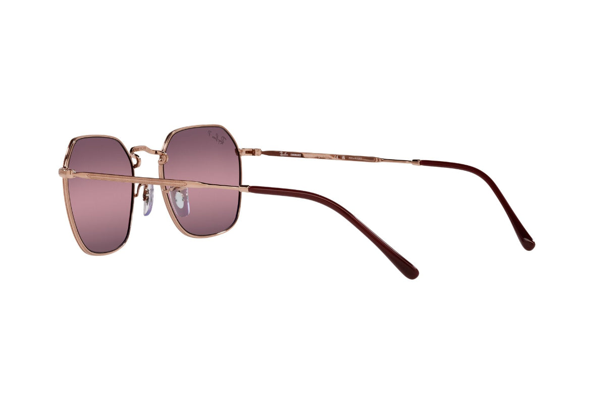 Ray-Ban Lentes de Sol Jim Polarizados RB3694