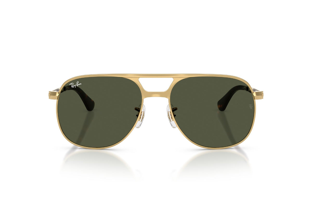 Ray-Ban Lentes de Sol Bill Max RB3793