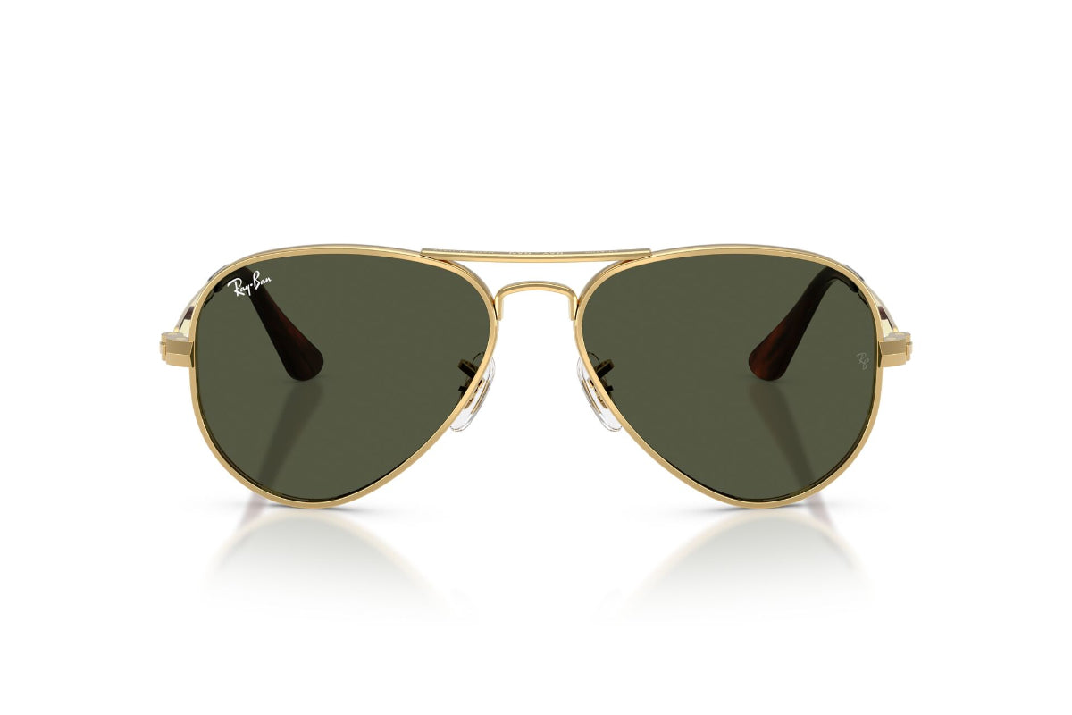 Ray-Ban Lentes de Sol Aviator Max RB3925