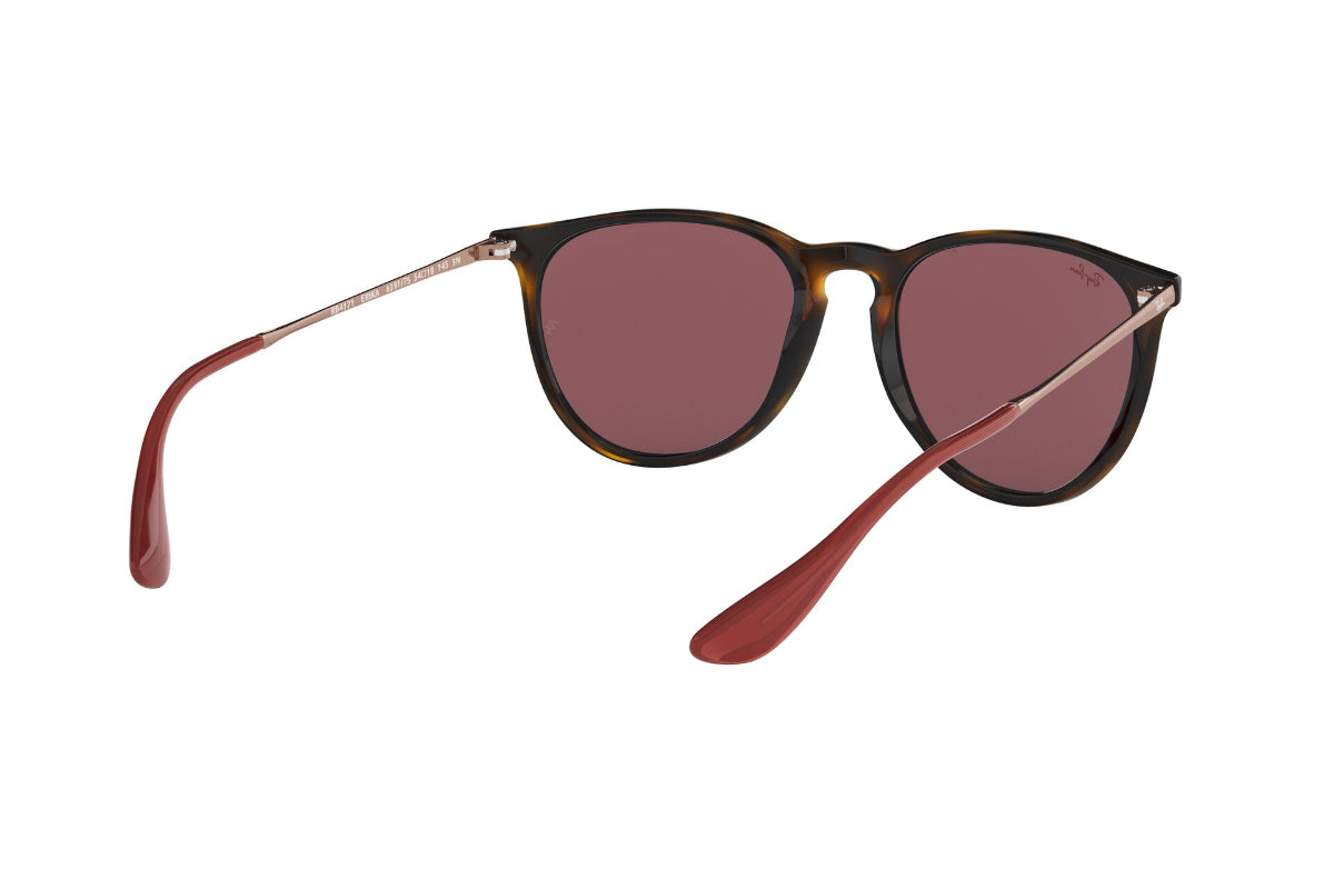Lentes de Sol Erika Havana Dark Violet Ray-Ban