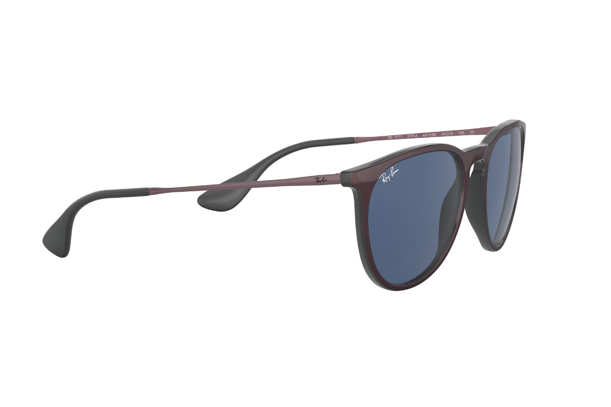 Lentes de Sol Erika Metallic Cipria On Black Ray-Ban