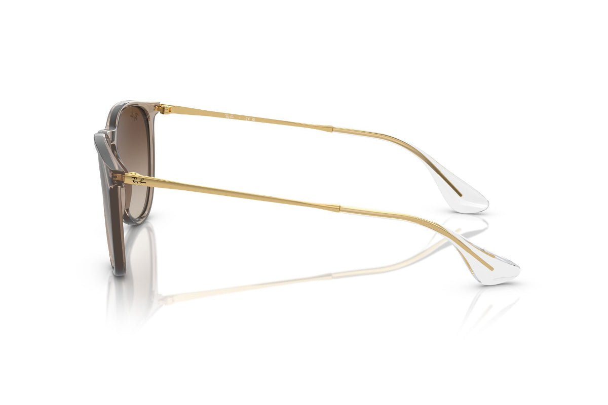 Ray-Ban Lentes de Sol Erika RB4171