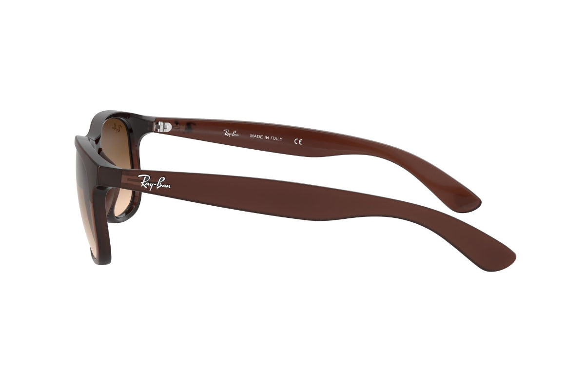 Ray-Ban Lentes de Sol Andy Degradados RB4202