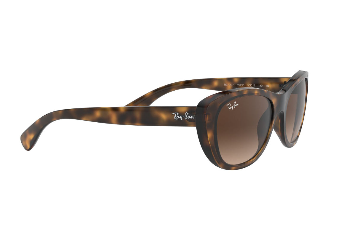 Lentes de Sol Havana Ray-Ban