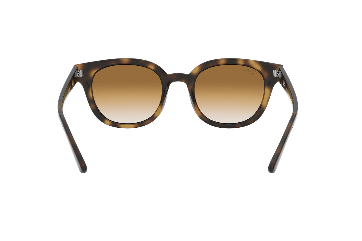 Lentes de Sol Light Havana Ray Ban
