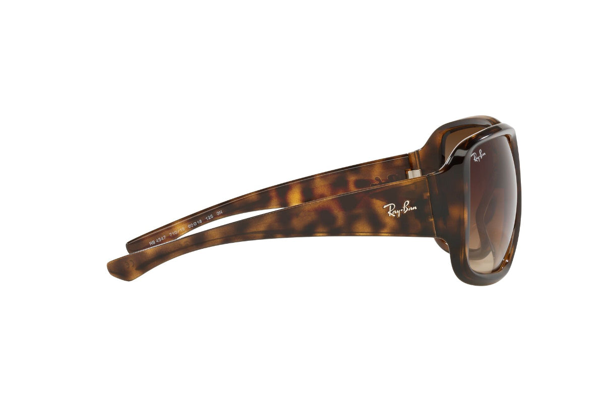 Lentes de Sol Powderhorn Havana  Ray Ban