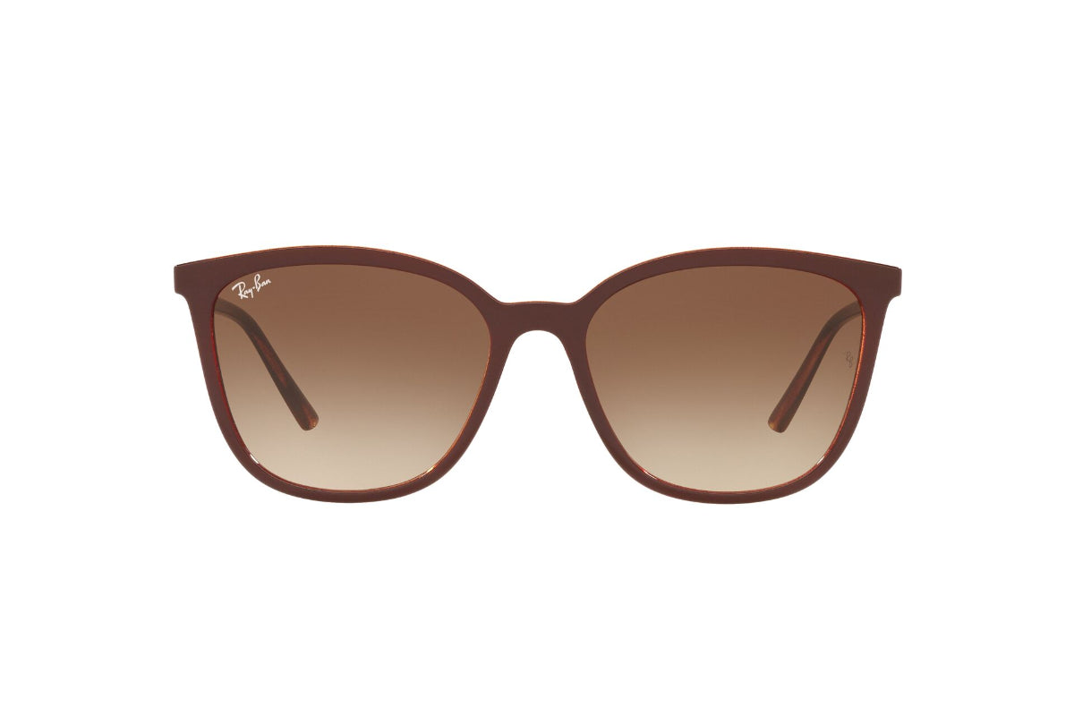 Lentes de Sol Caramel & Top Wine Ray Ban