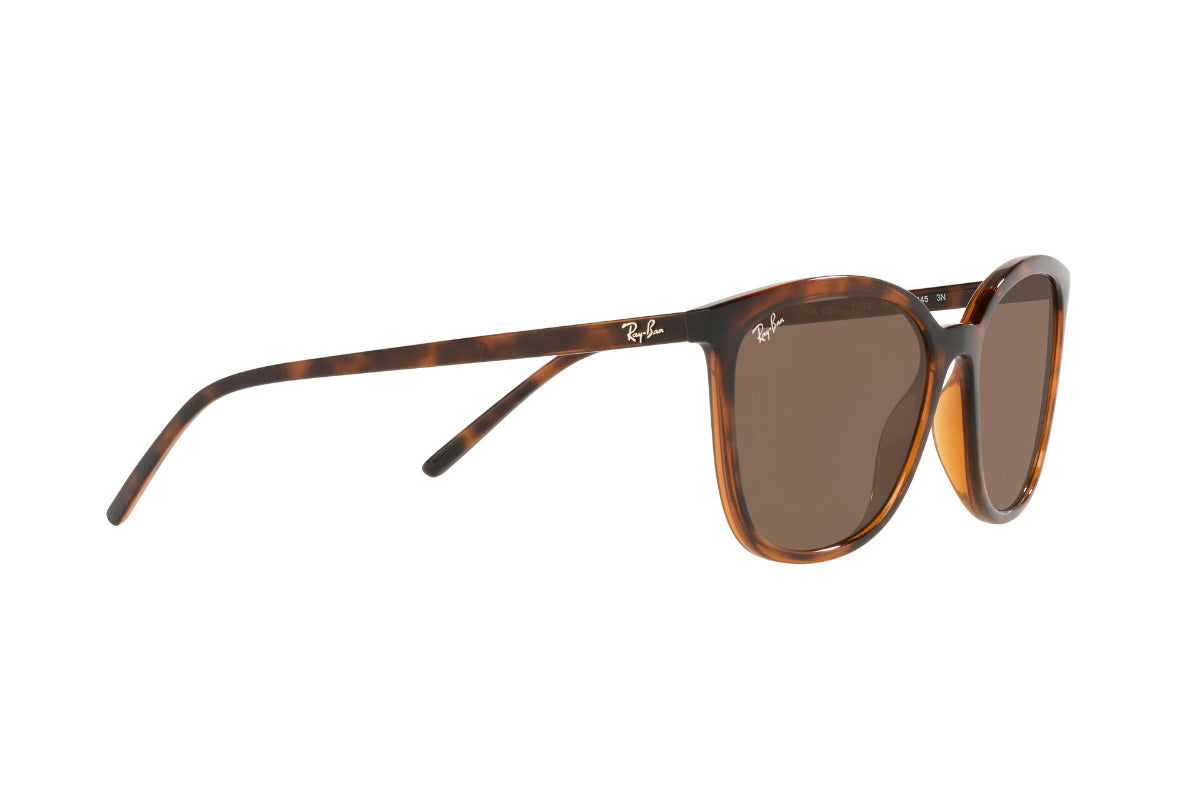 Lentes de Sol Dark Havana Ray Ban