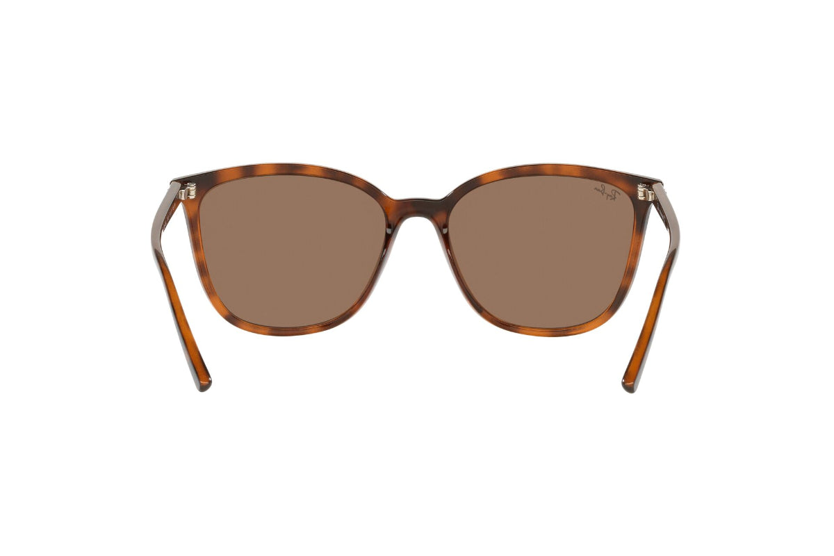 Lentes de Sol Dark Havana Ray Ban