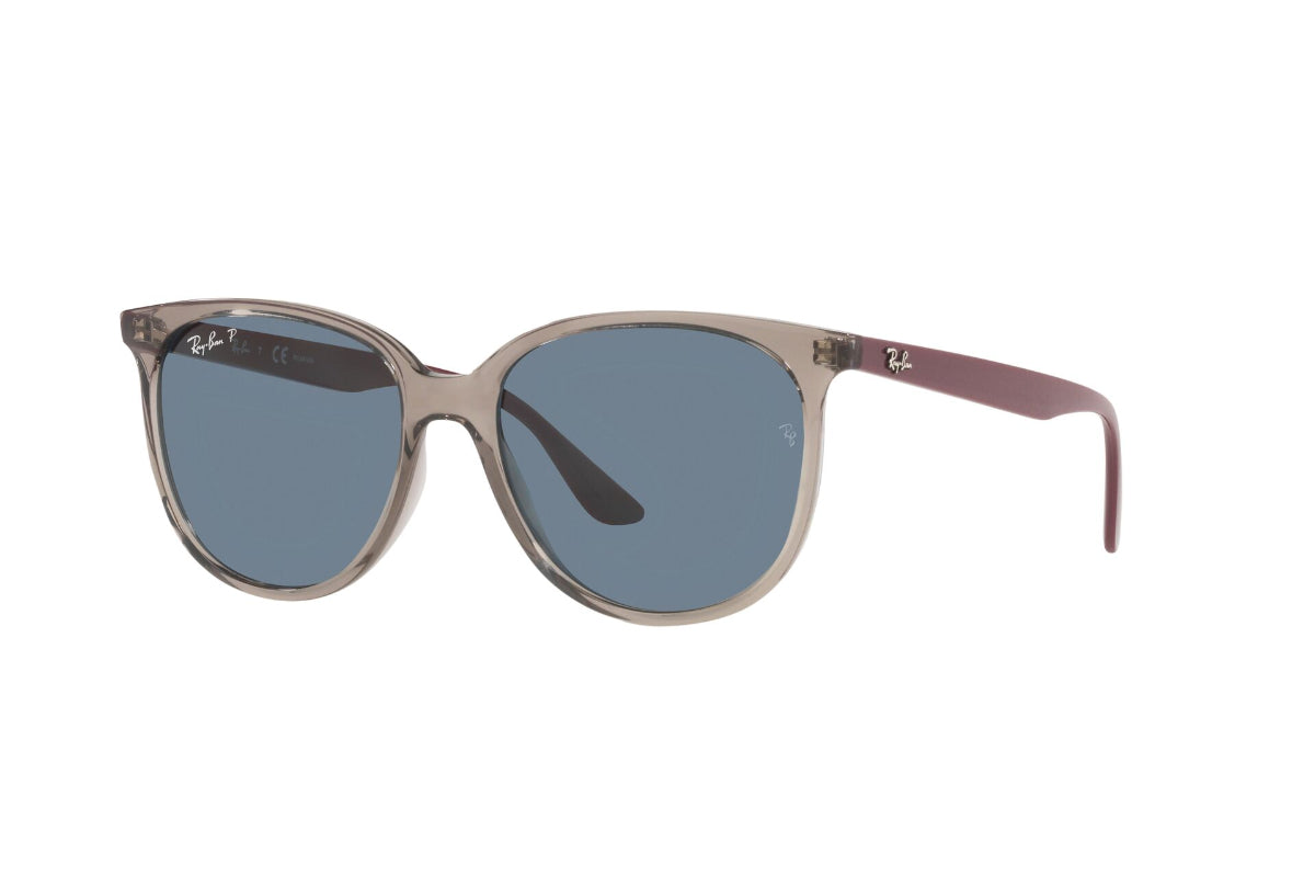 Ray-Ban Lentes de Sol RB4378