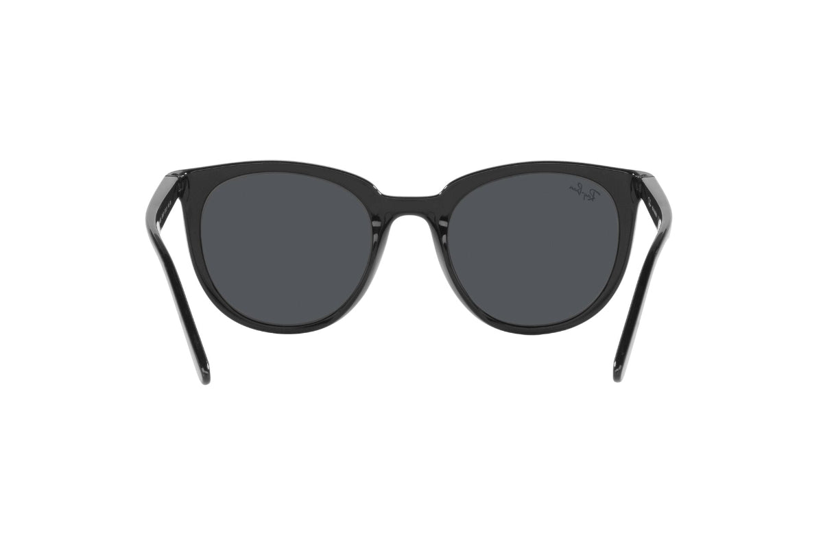 Ray-Ban Lentes de Sol RB4383L