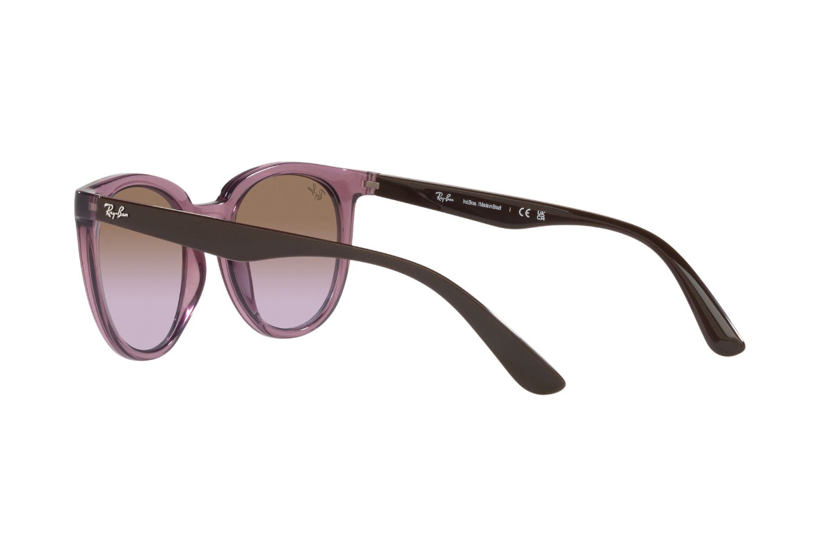 Ray-Ban Lentes de Sol RB4383L
