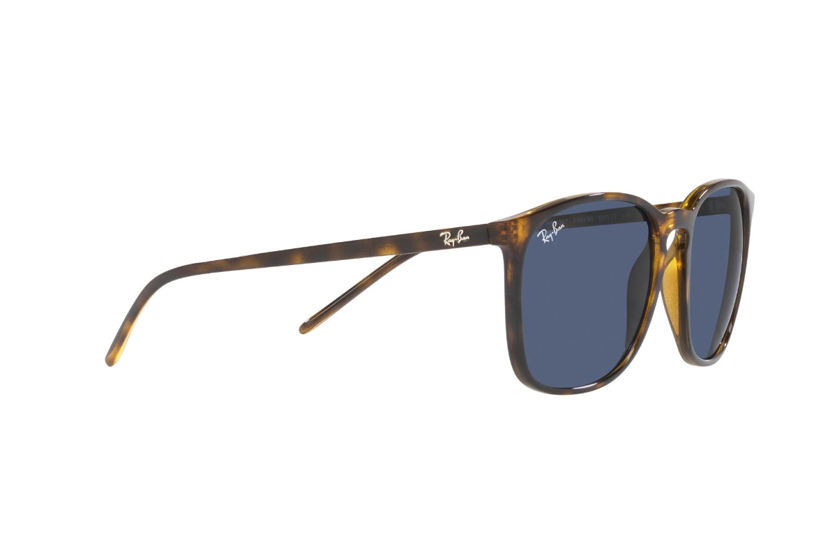 Ray-Ban Lentes de Sol RB4387