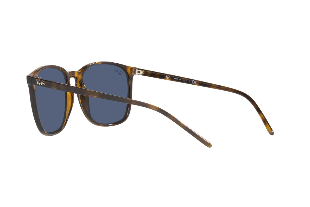 Ray-Ban Lentes de Sol RB4387