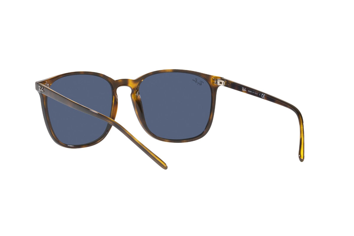 Ray-Ban Lentes de Sol RB4387
