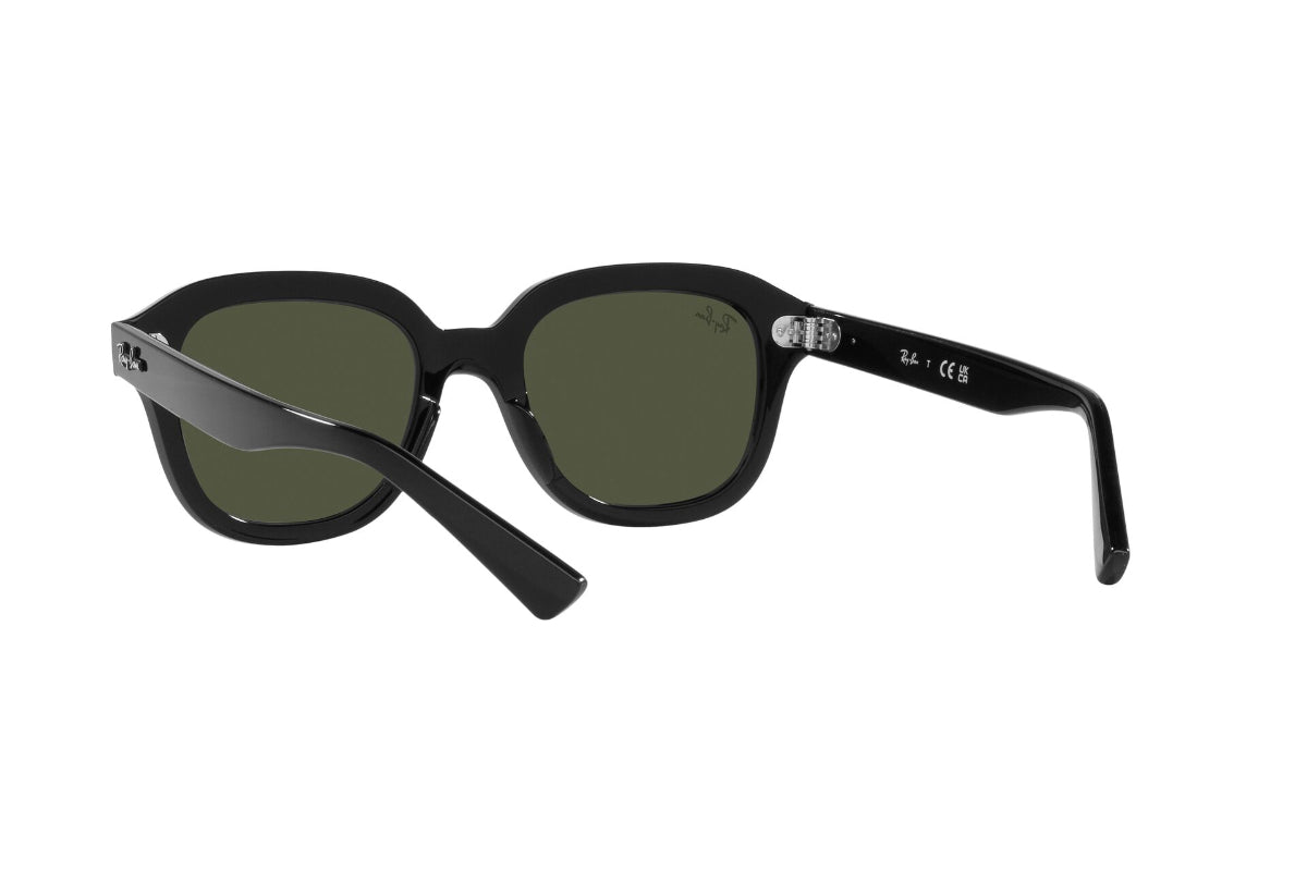 Ray-Ban Lentes de Sol Erik RB4398