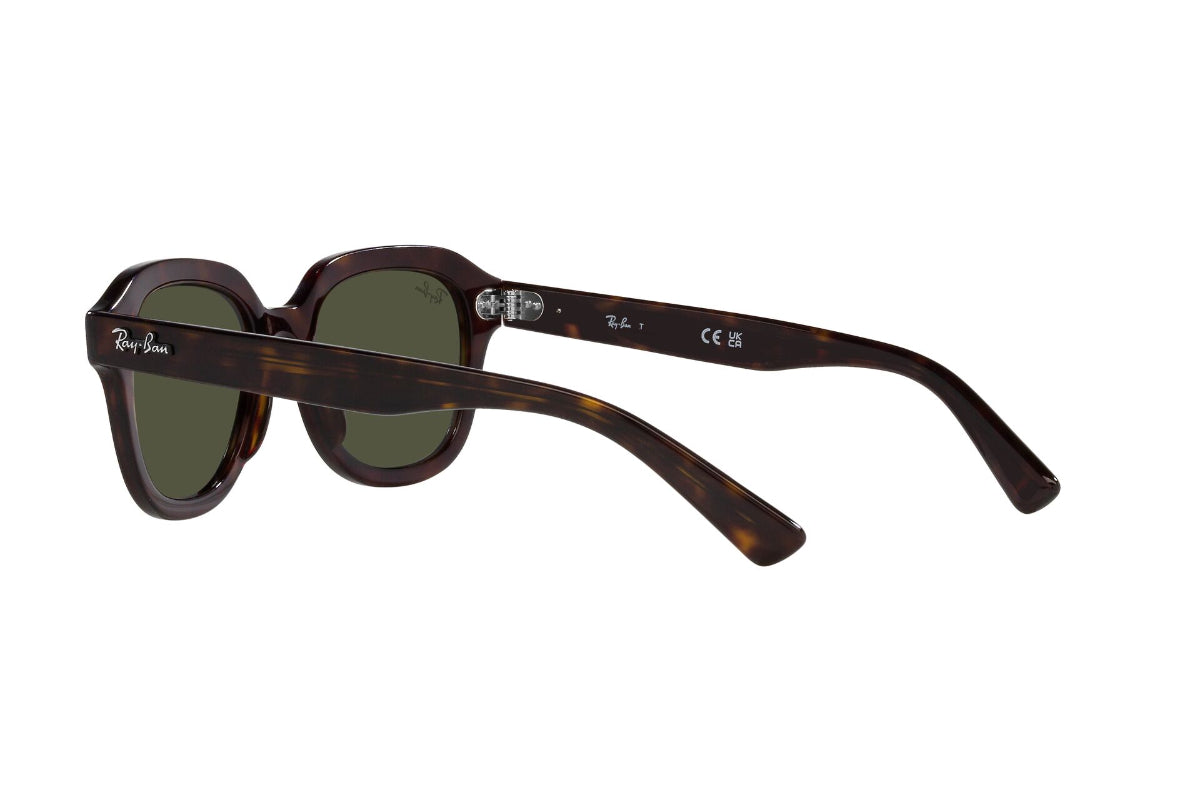 Ray-Ban Lentes de Sol Erik RB4398