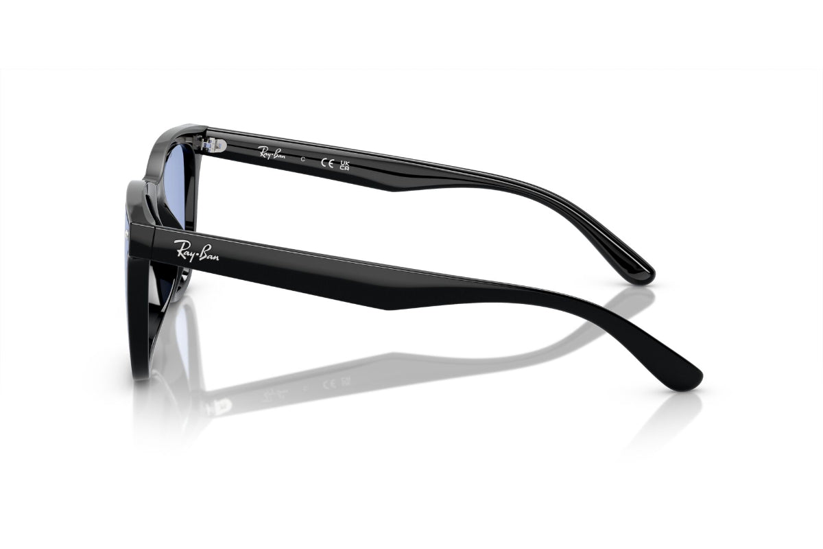 Ray-Ban Lentes de Sol RB4420