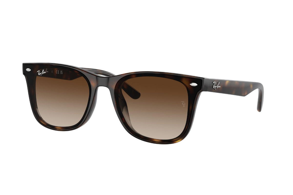 Ray-Ban Lentes de Sol RB4420