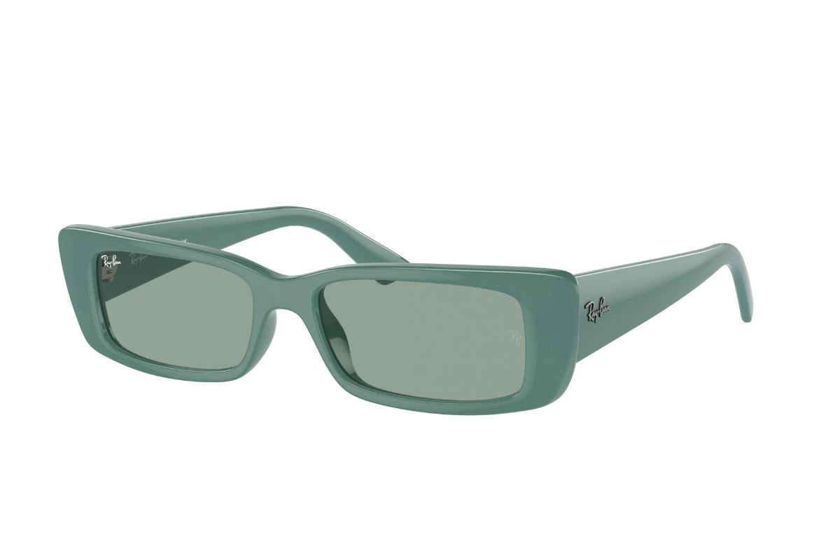 Ray-Ban Lentes de Sol Teru RB4425