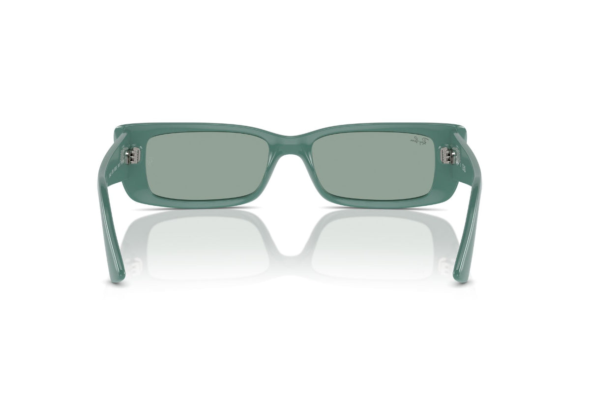 Ray-Ban Lentes de Sol Teru RB4425