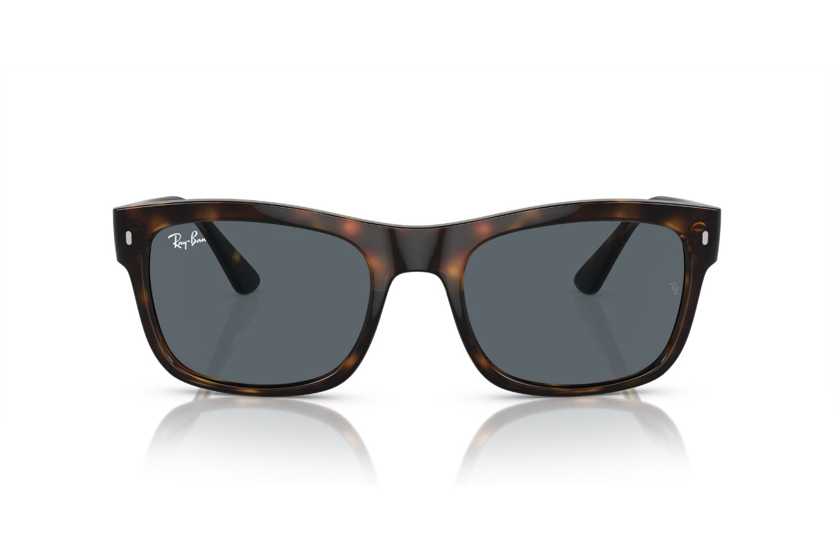 Ray-Ban Lentes de Sol RB4428