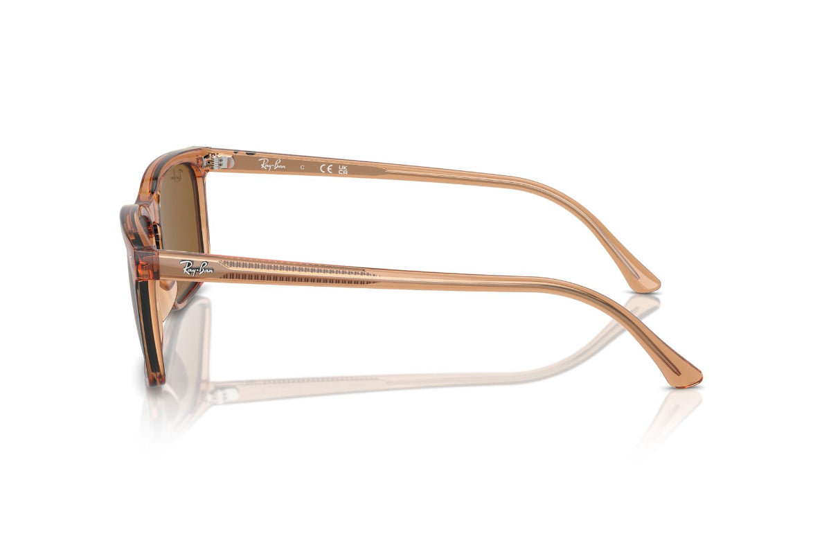 Ray-Ban Lentes de Sol RB4435