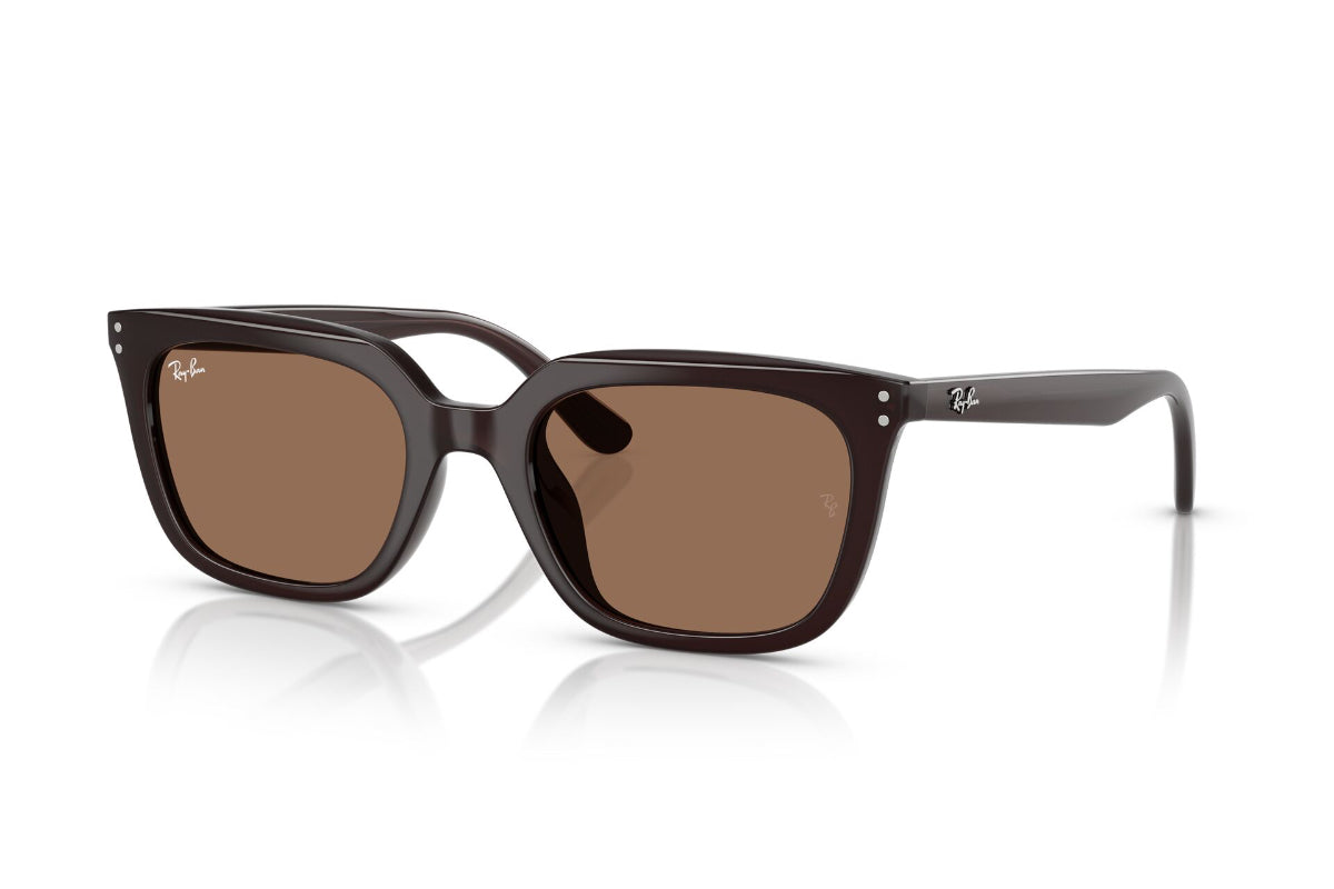 Ray-Ban Lentes de Sol RB4439D