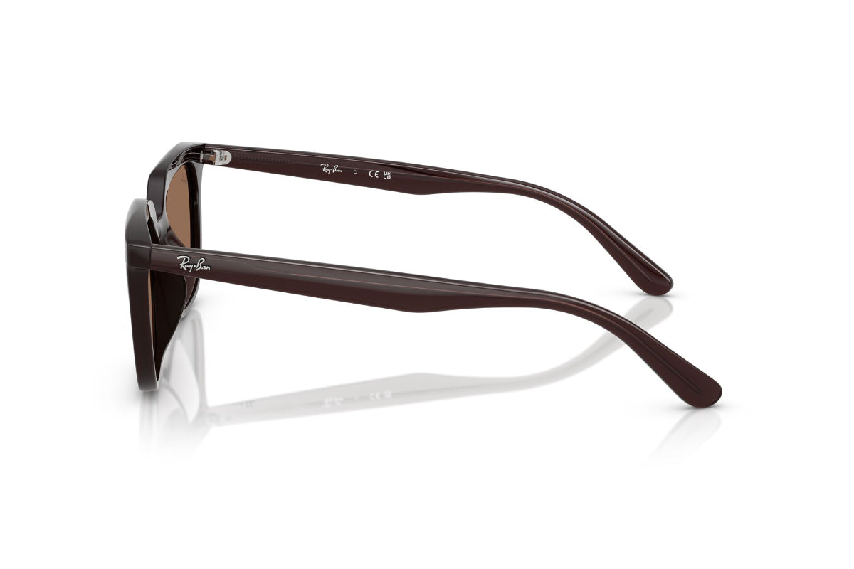Ray-Ban Lentes de Sol RB4439D