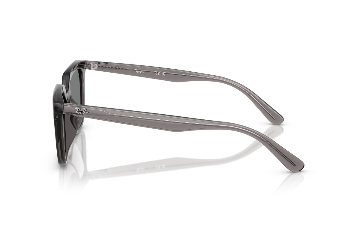 Ray-Ban Lentes de Sol RB4439D