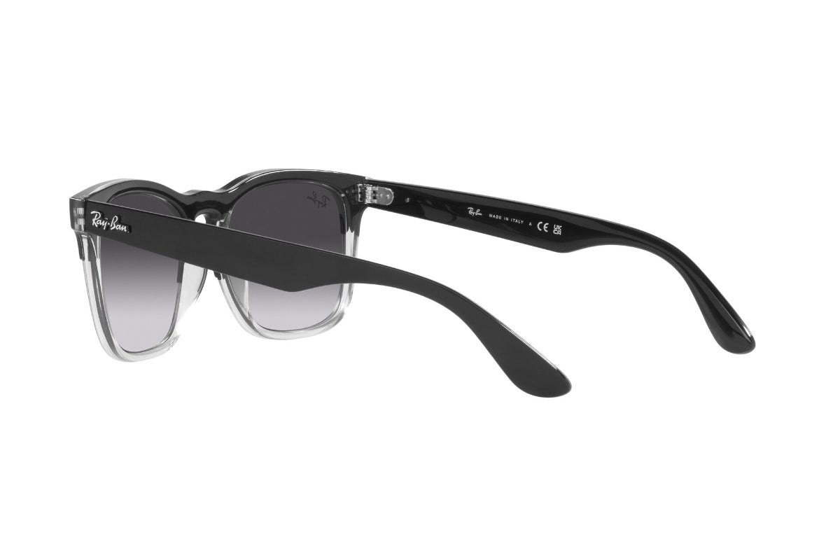 Ray-Ban Lentes de Sol Steve RB4487
