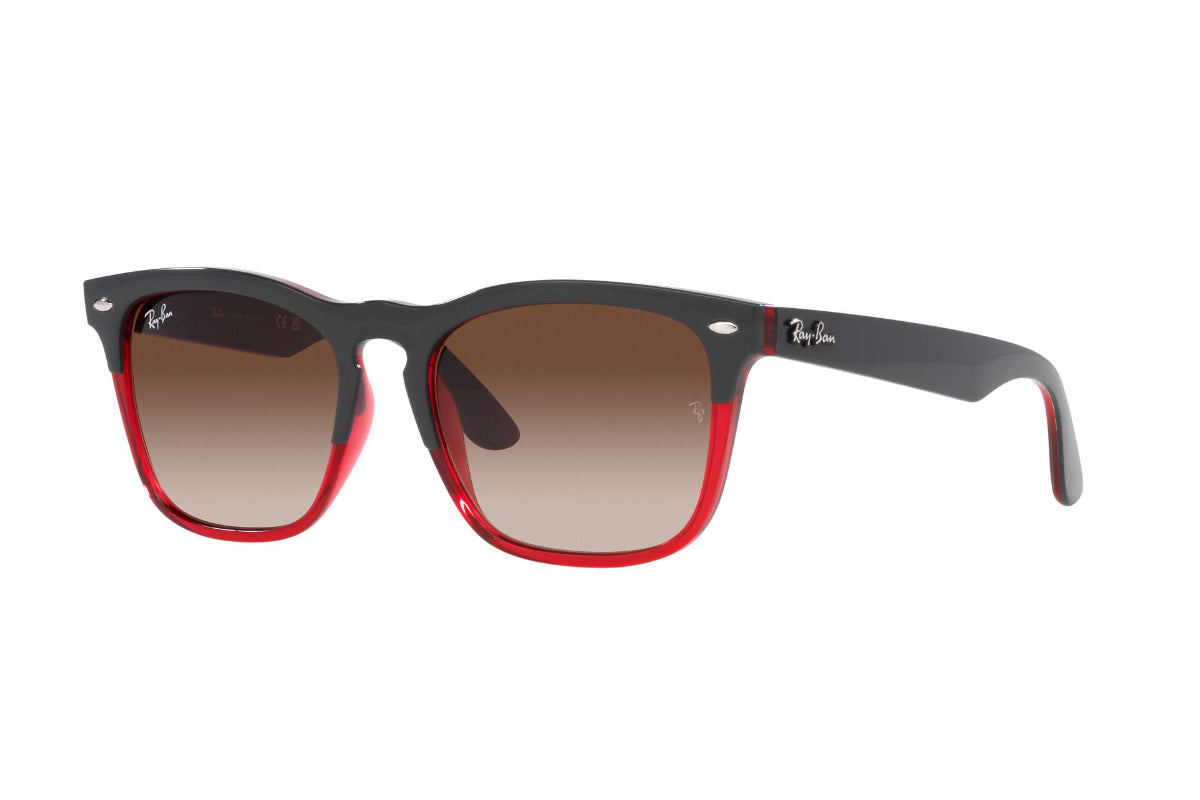 Ray-Ban Lentes de Sol Steve RB4487