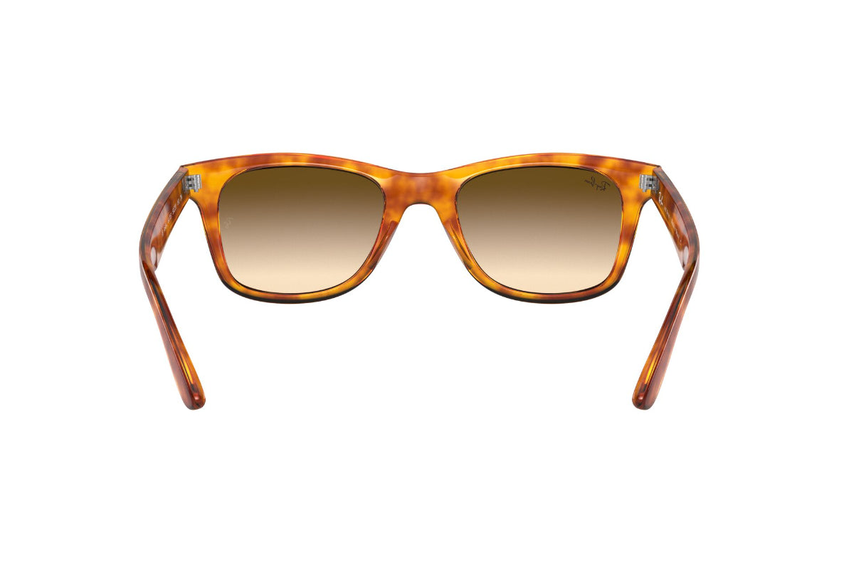 Lentes de Sol Havana Ray-Ban