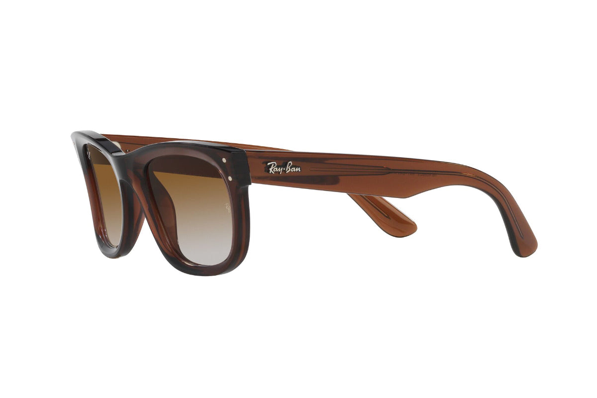 Ray-Ban Lentes de Sol Wayfarer Reverse RBR0502S