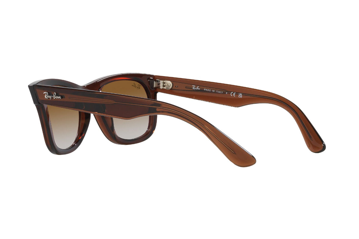 Ray-Ban Lentes de Sol Wayfarer Reverse RBR0502S