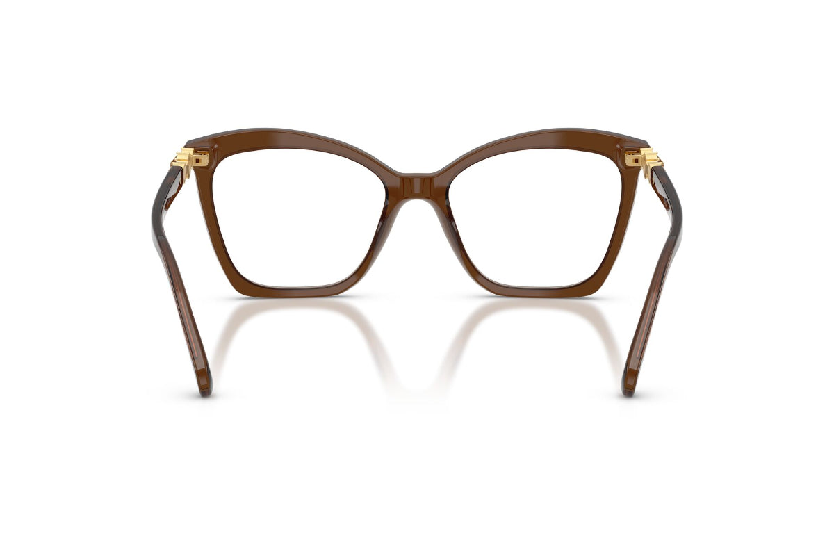 Swarovski Lentes Ópticos SK2053