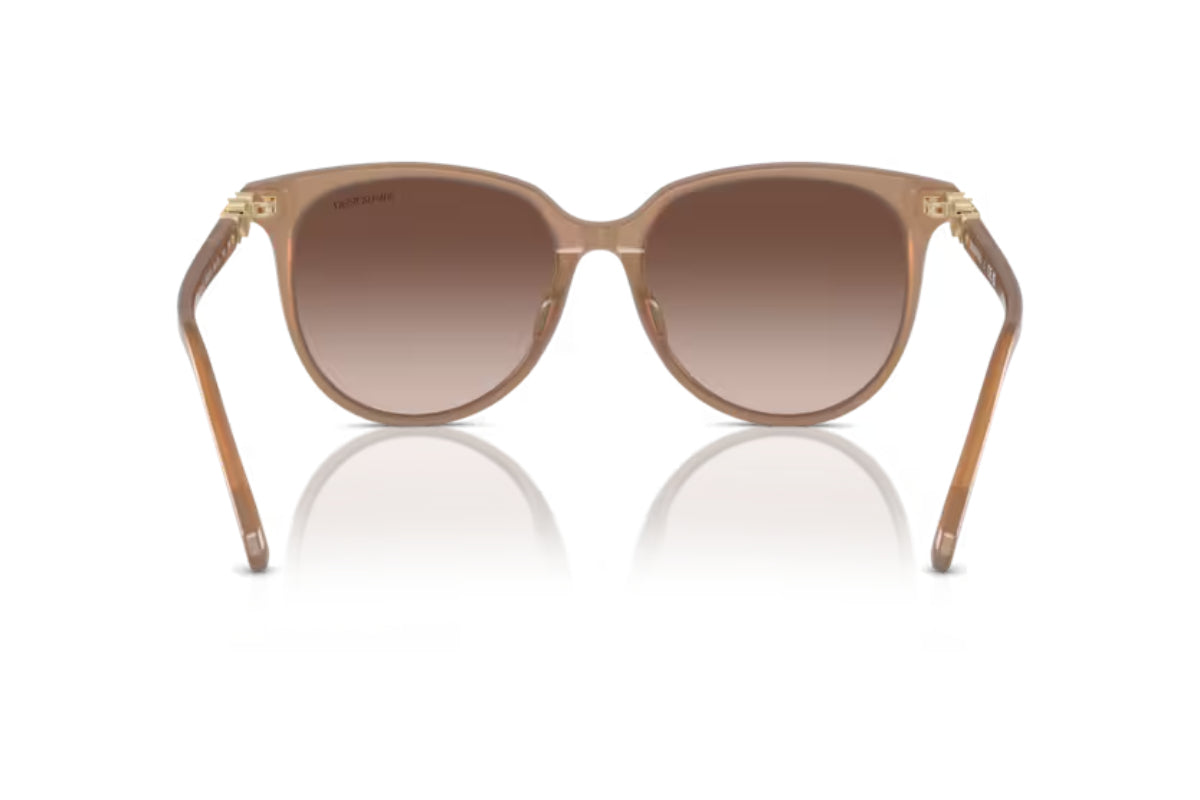 Swarovski Lentes de Sol Degradados SK6023D