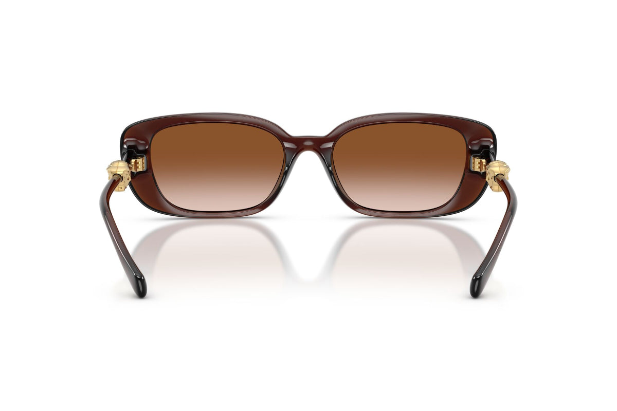 Versace Lentes de Sol Medusa Degradados VE4504D