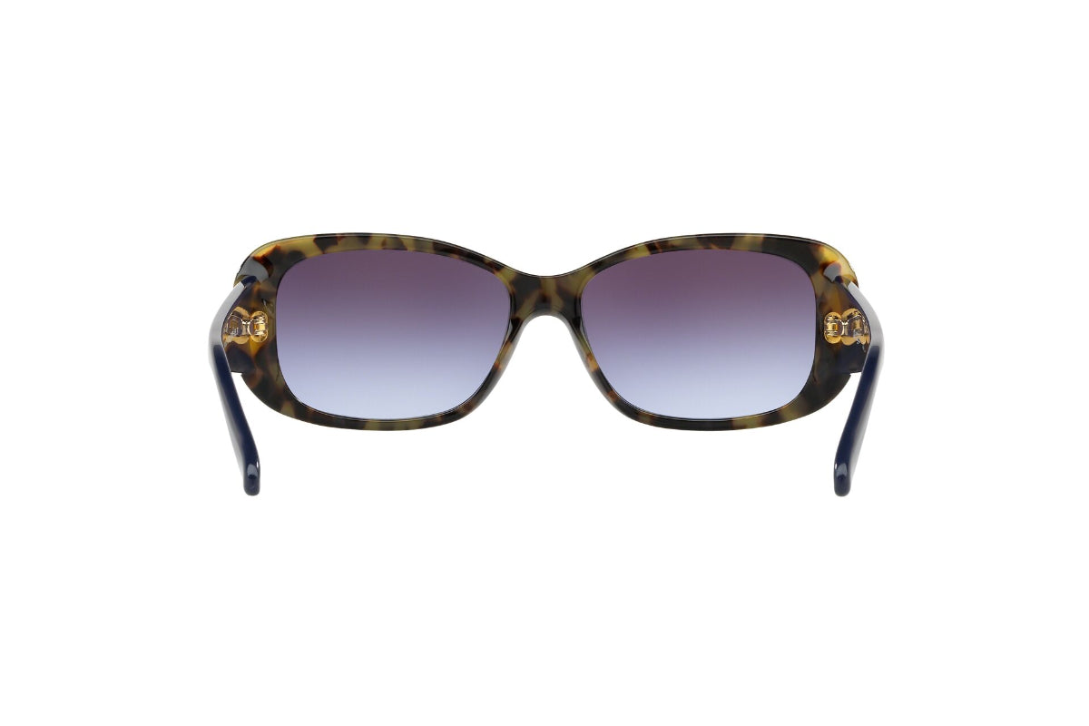 Lentes de Sol Top Blue Tortoise Vogue