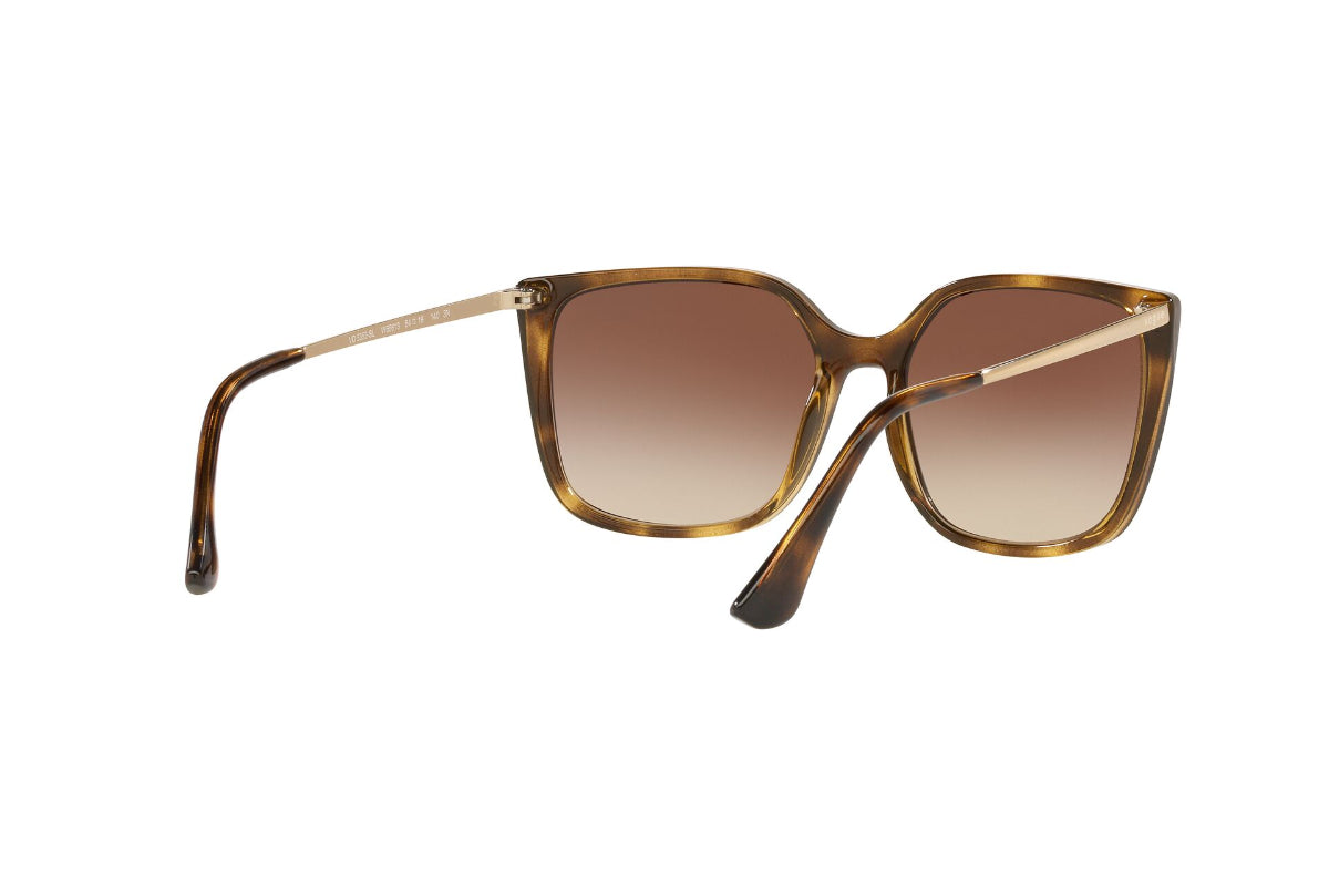 Lentes de Sol Shiny Havana Vogue Eyewear